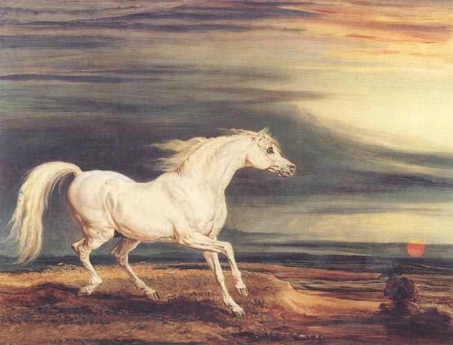 James Ward Napoleon's Horse,Marengo at Waterloo